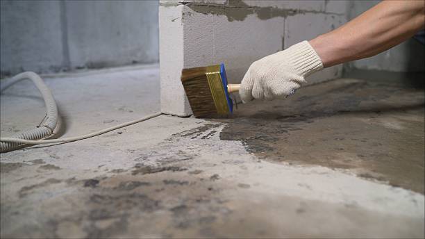SJ Waterproofing Pros Crawl Space Encapsulation coverage map for Lexington, MN and surrounding area